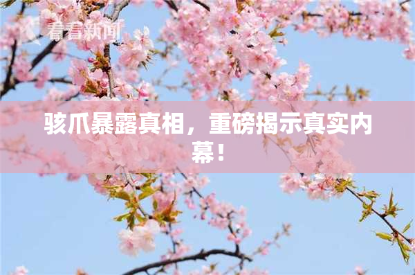 骇爪暴露真相，重磅揭示真实内幕！