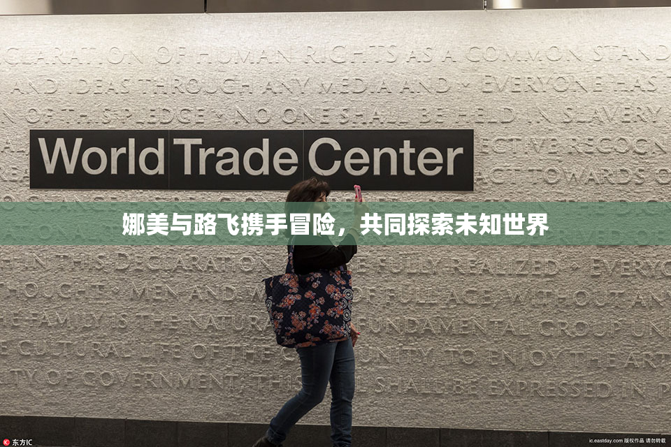 娜美与路飞携手冒险，共同探索未知世界