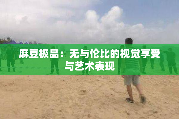 麻豆极品：无与伦比的视觉享受与艺术表现