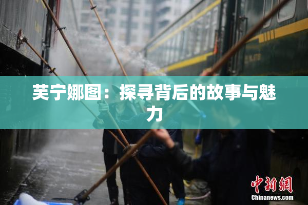 芙宁娜图：探寻背后的故事与魅力
