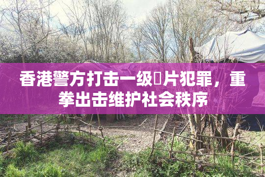 香港警方打击一级婬片犯罪，重拳出击维护社会秩序