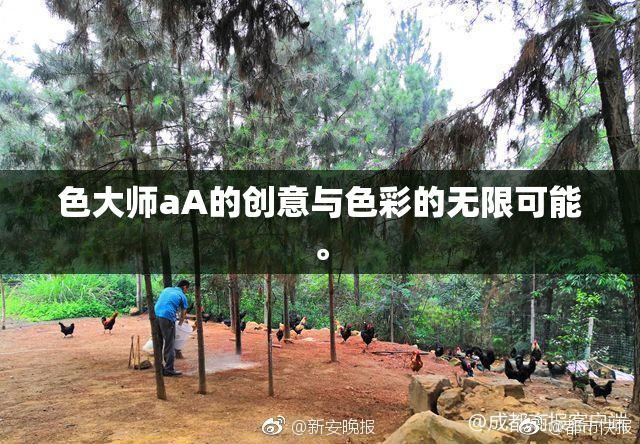 色大师aA的创意与色彩的无限可能。