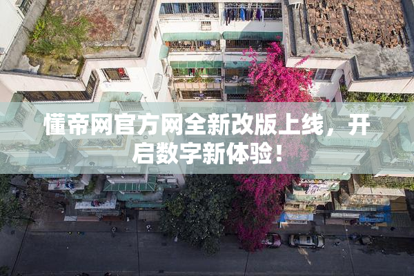 懂帝网官方网全新改版上线，开启数字新体验！