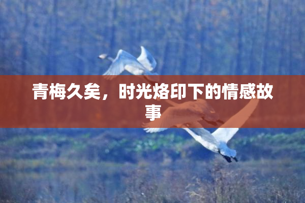 青梅久矣，时光烙印下的情感故事