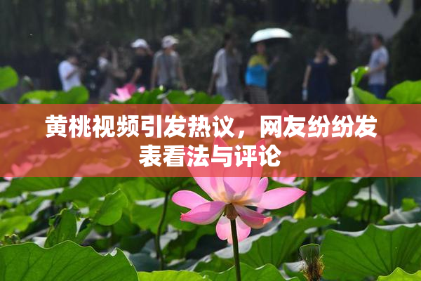 黄桃视频引发热议，网友纷纷发表看法与评论