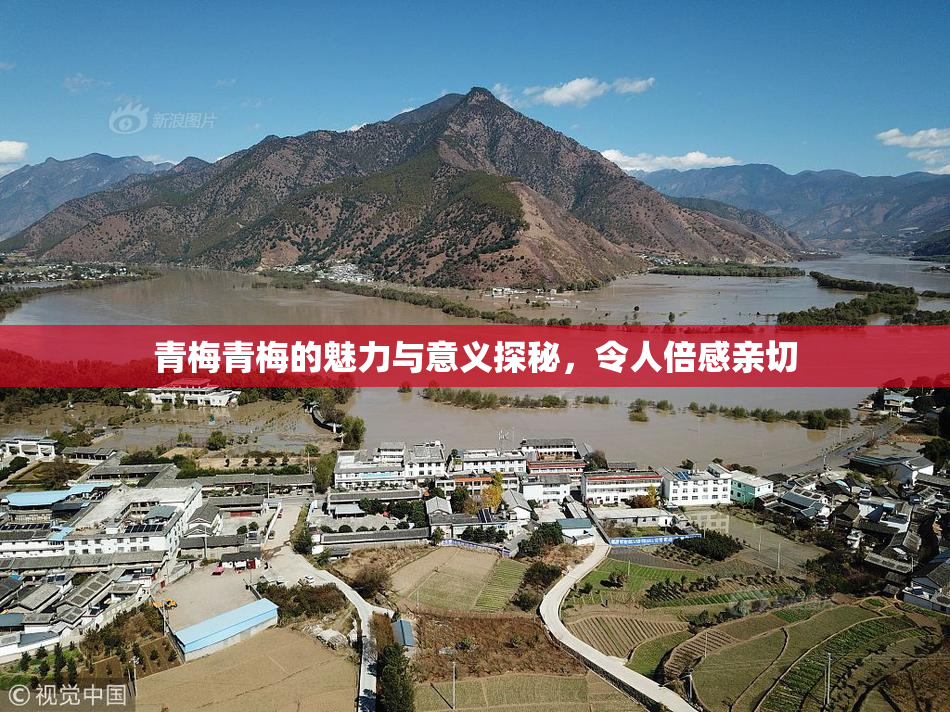 青梅青梅的魅力与意义探秘，令人倍感亲切