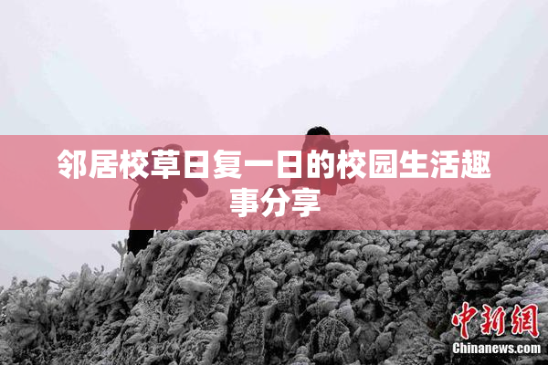 邻居校草日复一日的校园生活趣事分享