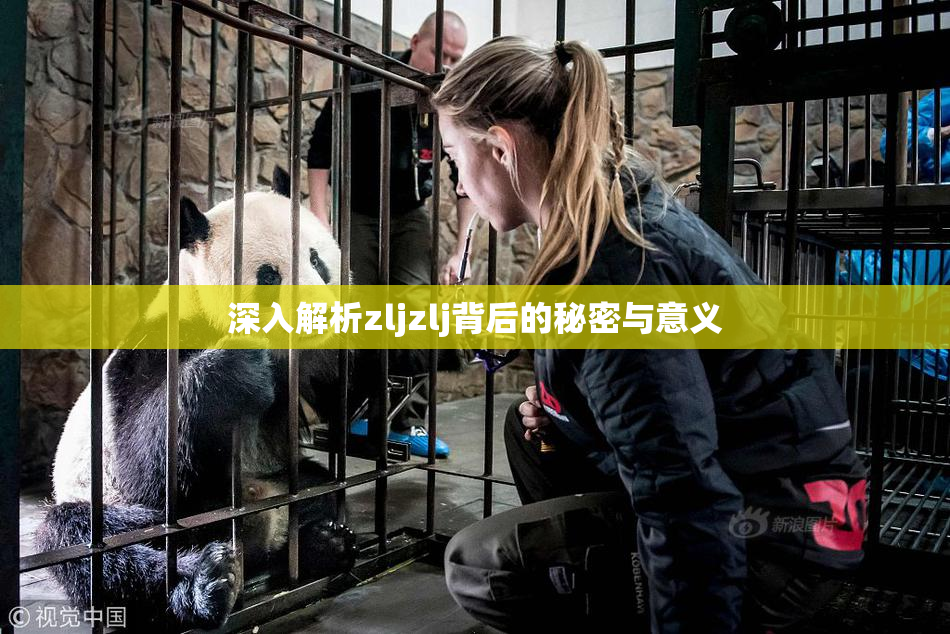深入解析zljzlj背后的秘密与意义