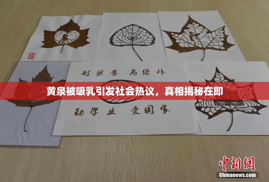 黄泉被吸乳引发社会热议，真相揭秘在即