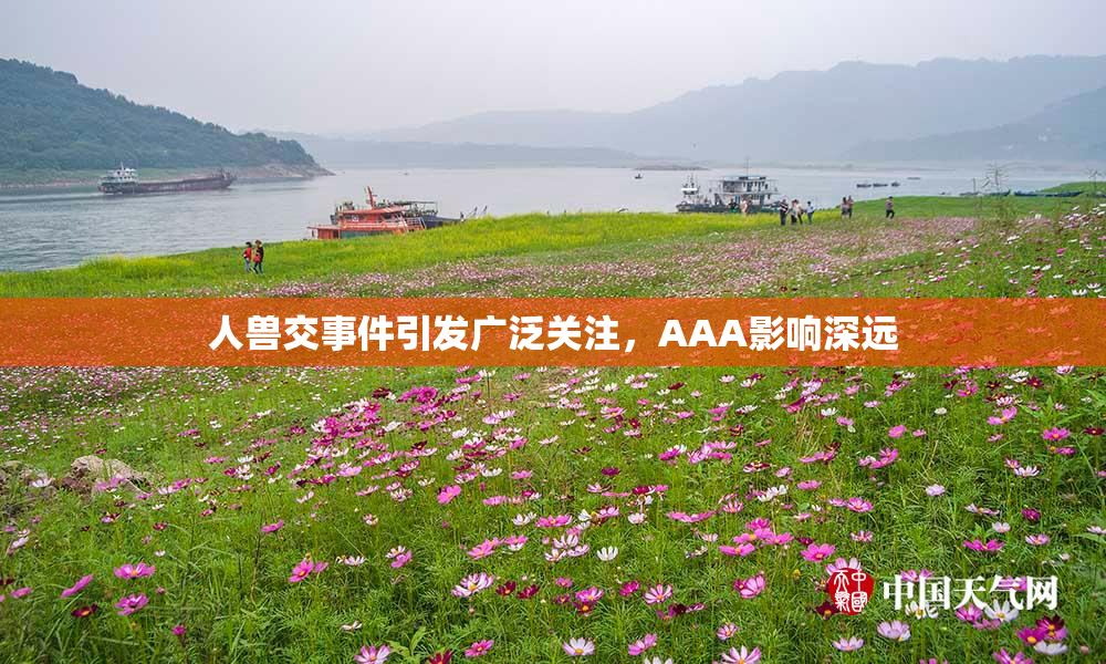 人兽交事件引发广泛关注，AAA影响深远