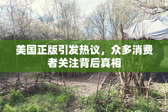 美国正版引发热议，众多消费者关注背后真相