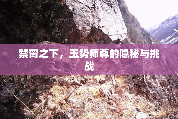 禁脔之下，玉势师尊的隐秘与挑战