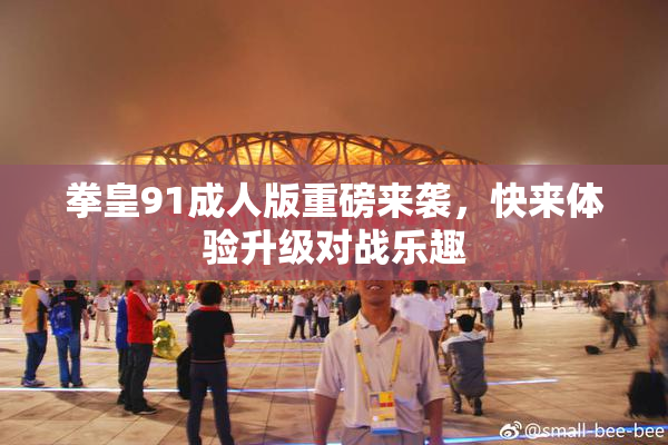拳皇91成人版重磅来袭，快来体验升级对战乐趣