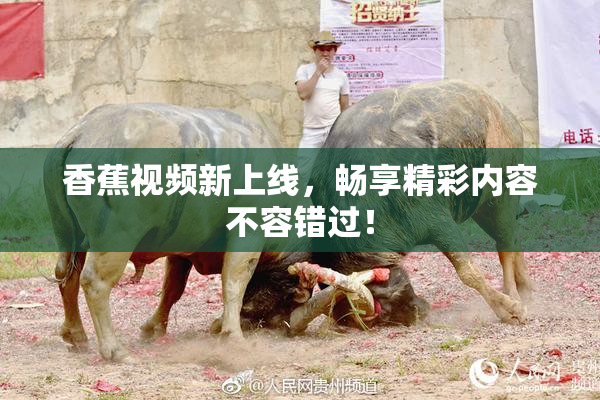 香蕉视频新上线，畅享精彩内容不容错过！