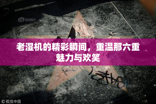 老湿机的精彩瞬间，重温那六重魅力与欢笑