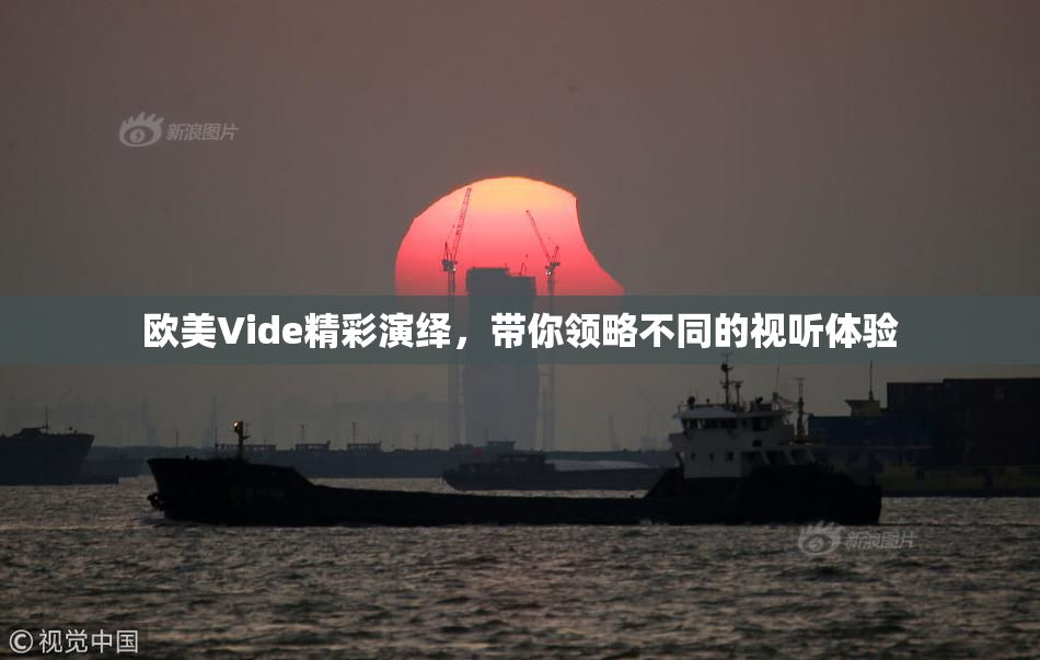 欧美Vide精彩演绎，带你领略不同的视听体验