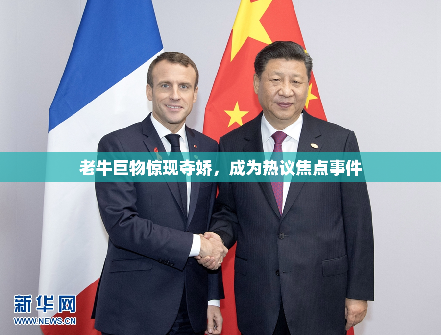 老牛巨物惊现夺娇，成为热议焦点事件
