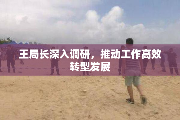 王局长深入调研，推动工作高效转型发展