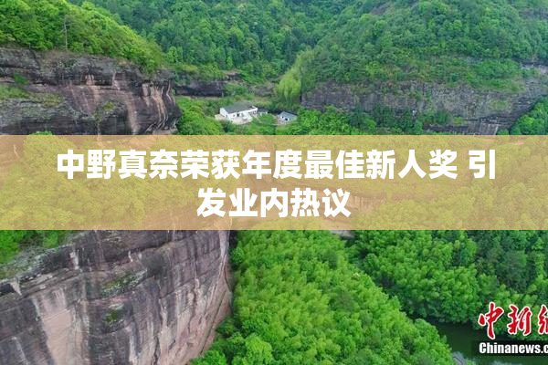 中野真奈荣获年度最佳新人奖 引发业内热议
