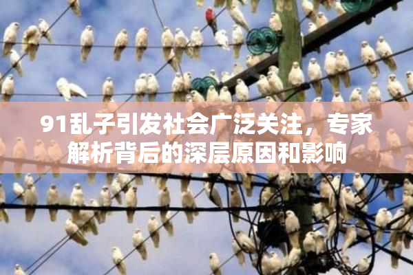 91乱子引发社会广泛关注，专家解析背后的深层原因和影响