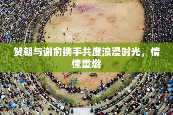贺朝与谢俞携手共度浪漫时光，情愫重燃