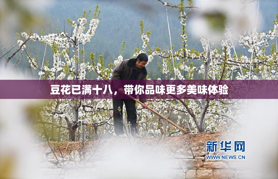 豆花已满十八，带你品味更多美味体验