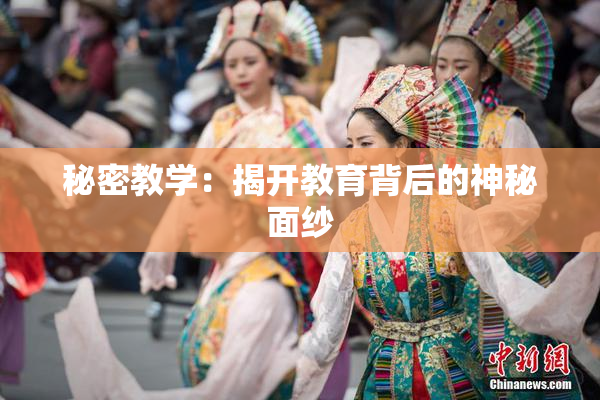 秘密教学：揭开教育背后的神秘面纱