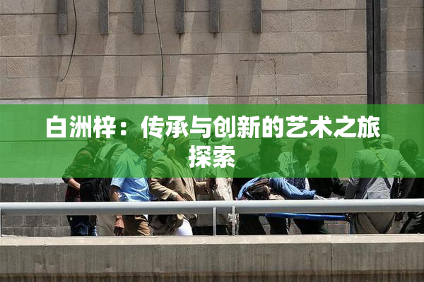 白洲梓：传承与创新的艺术之旅探索