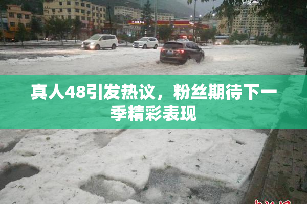 真人48引发热议，粉丝期待下一季精彩表现