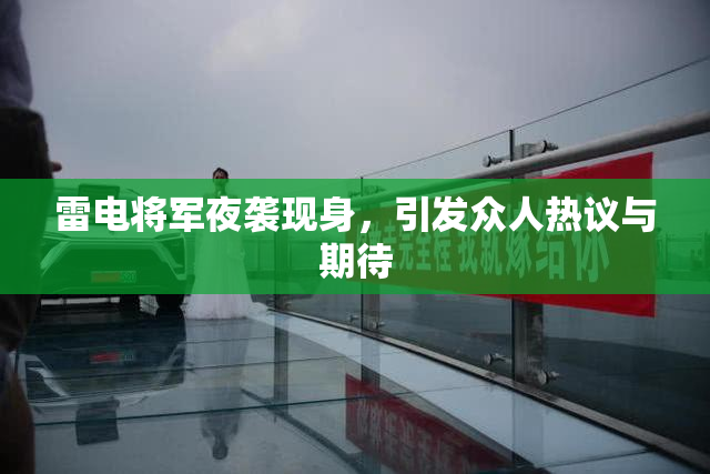 雷电将军夜袭现身，引发众人热议与期待