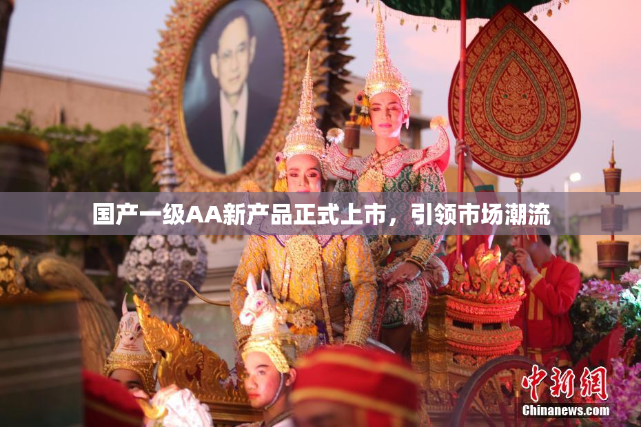 国产一级AA新产品正式上市，引领市场潮流