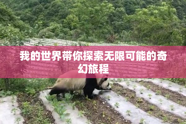 我的世界带你探索无限可能的奇幻旅程