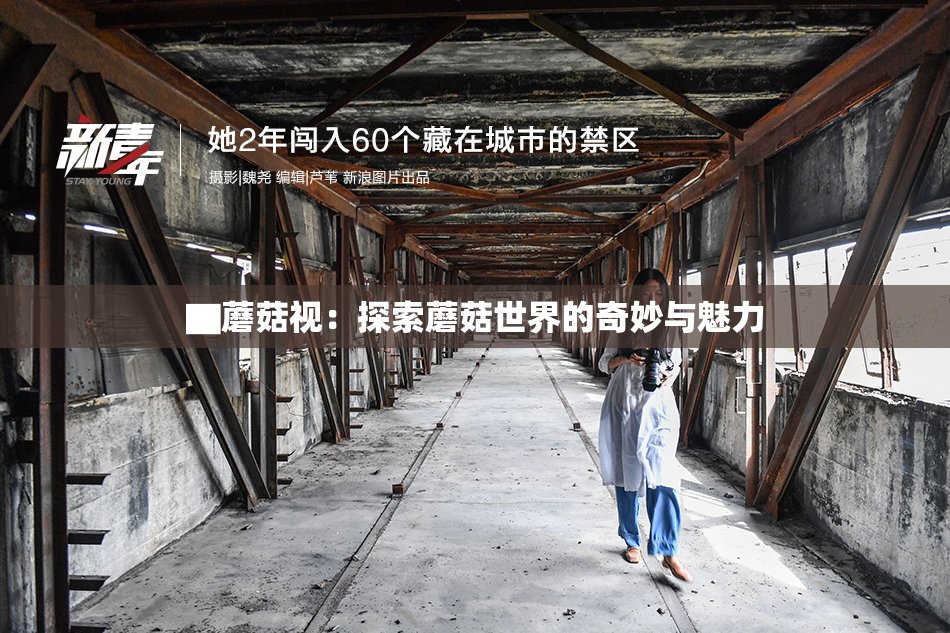 ▇蘑菇视：探索蘑菇世界的奇妙与魅力