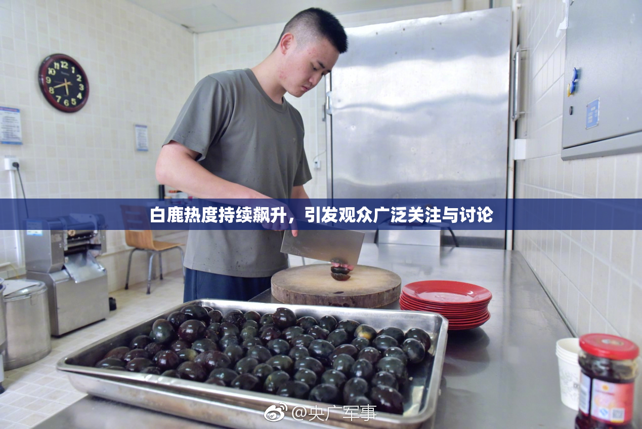白鹿热度持续飙升，引发观众广泛关注与讨论
