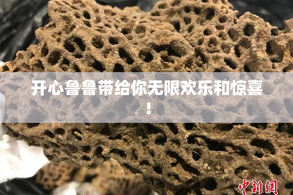 开心鲁鲁带给你无限欢乐和惊喜！