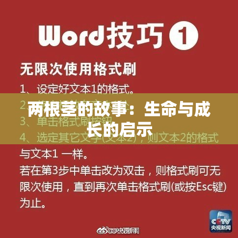 两根茎的故事：生命与成长的启示