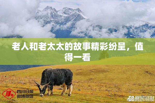 老人和老太太的故事精彩纷呈，值得一看