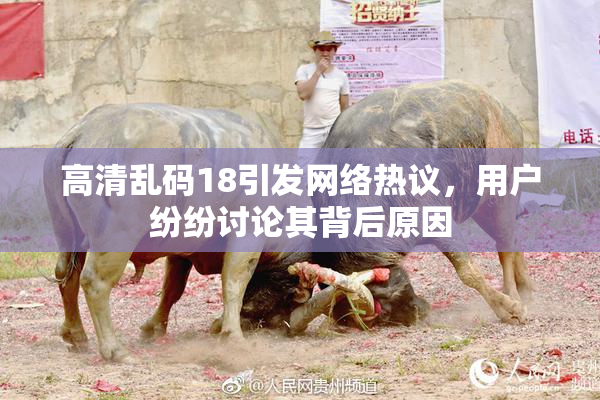 高清乱码18引发网络热议，用户纷纷讨论其背后原因