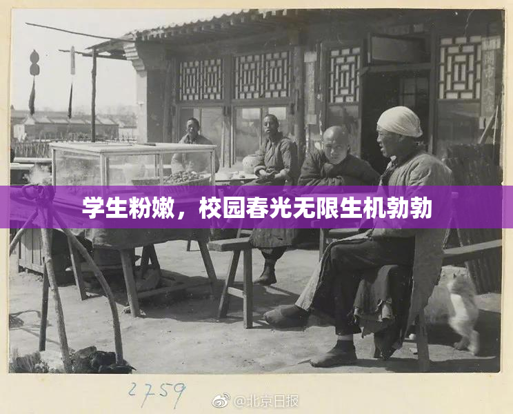 学生粉嫩，校园春光无限生机勃勃