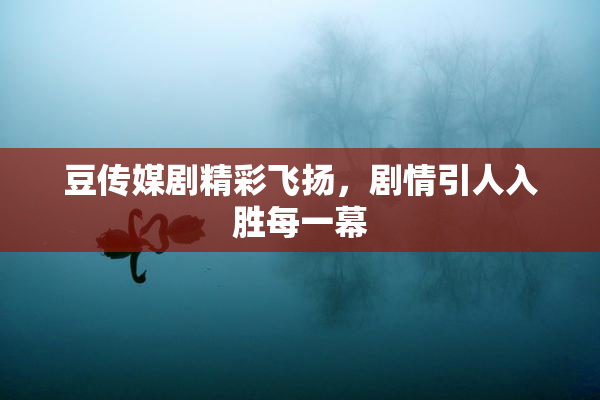 豆传媒剧精彩飞扬，剧情引人入胜每一幕