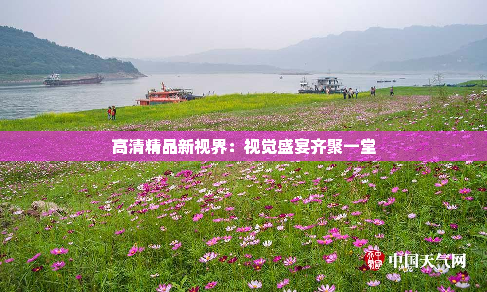 高清精品新视界：视觉盛宴齐聚一堂