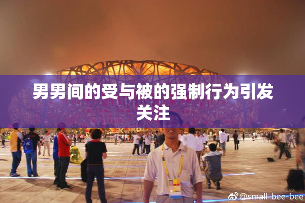 男男间的受与被的强制行为引发关注