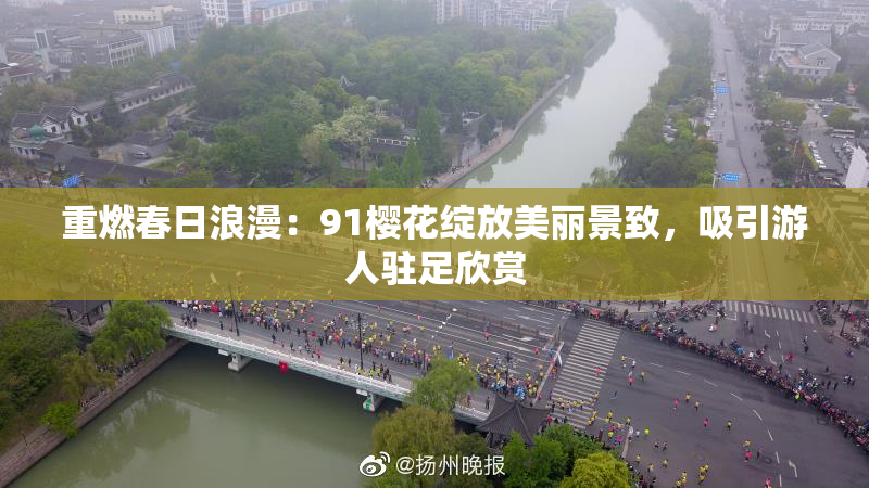 重燃春日浪漫：91樱花绽放美丽景致，吸引游人驻足欣赏