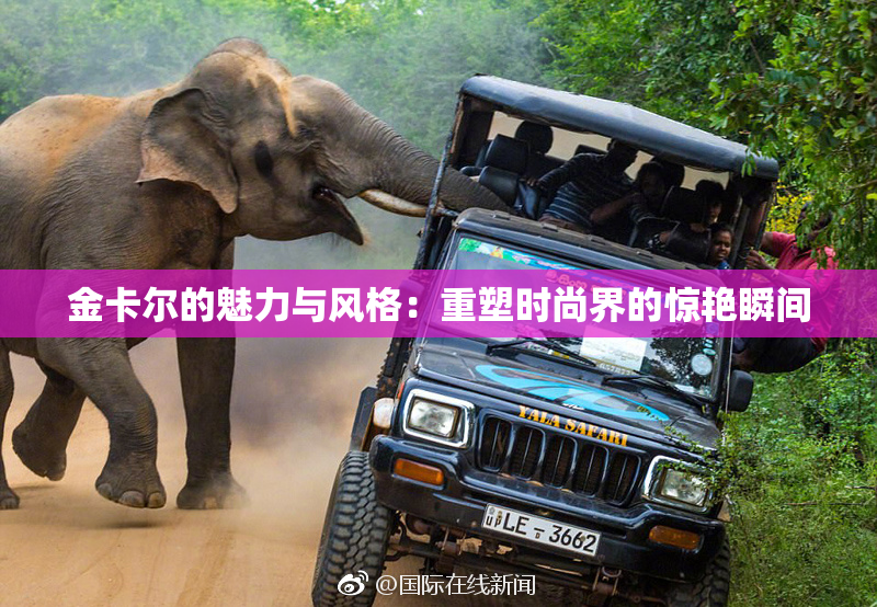 金卡尔的魅力与风格：重塑时尚界的惊艳瞬间
