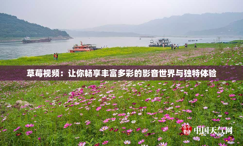 草莓视频：让你畅享丰富多彩的影音世界与独特体验