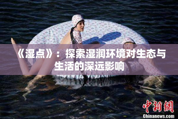 《湿点》：探索湿润环境对生态与生活的深远影响