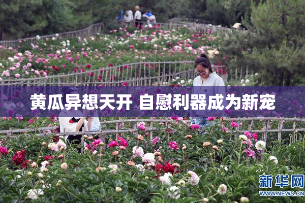 黄瓜异想天开 自慰利器成为新宠