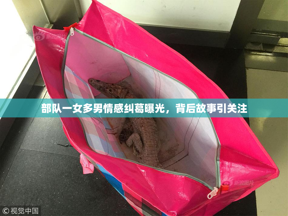 部队一女多男情感纠葛曝光，背后故事引关注