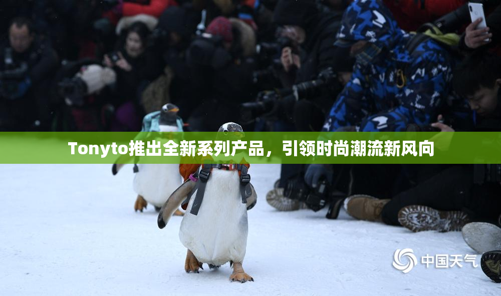 Tonyto推出全新系列产品，引领时尚潮流新风向
