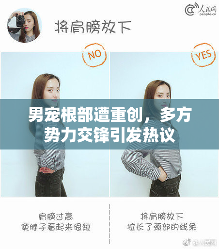 男宠根部遭重创，多方势力交锋引发热议
